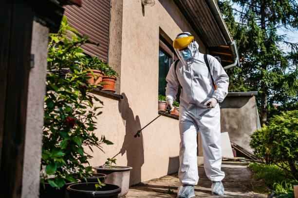 Best Wildlife Control Services  in Mexico, IN