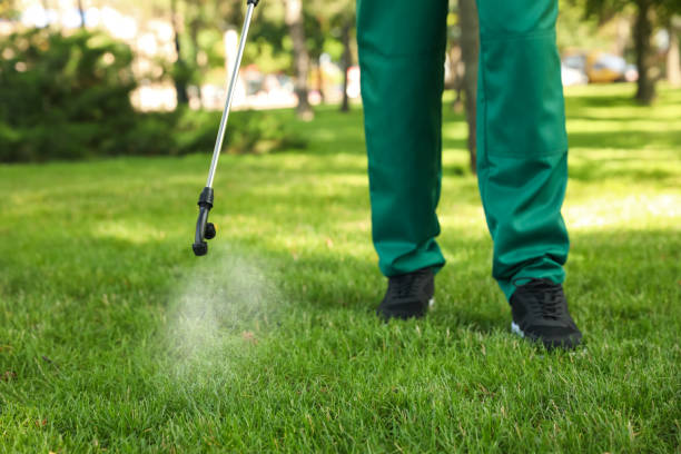 Trusted Mexico, IN Pest Control Experts