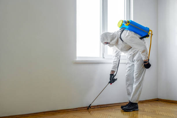 Best Exterminator Services  in Mexico, IN