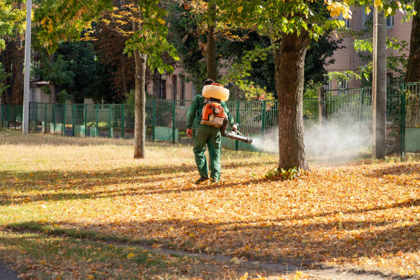 Best Rat Extermination Near Me  in Mexico, IN