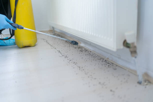 Best Residential Pest Control  in Mexico, IN