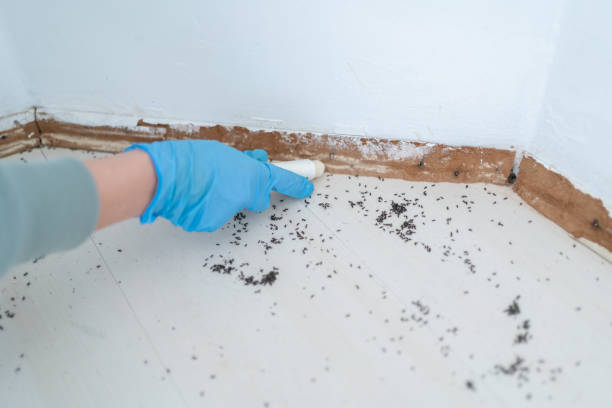 Pest Control for Restaurants in Mexico, IN