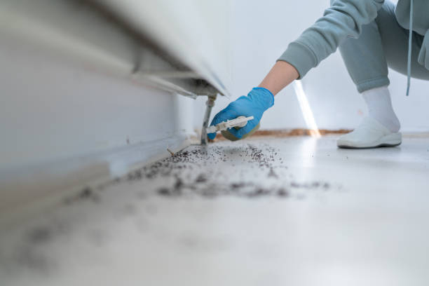 Best Affordable Pest Control Services  in Mexico, IN
